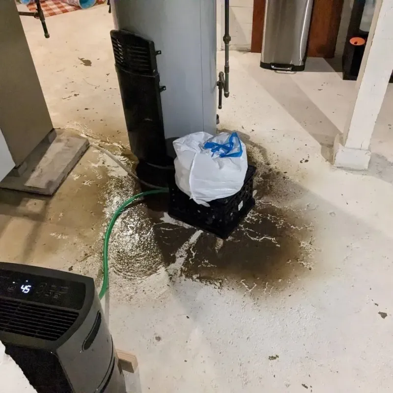 Sewage Backup Cleanup Service in Dora, AL